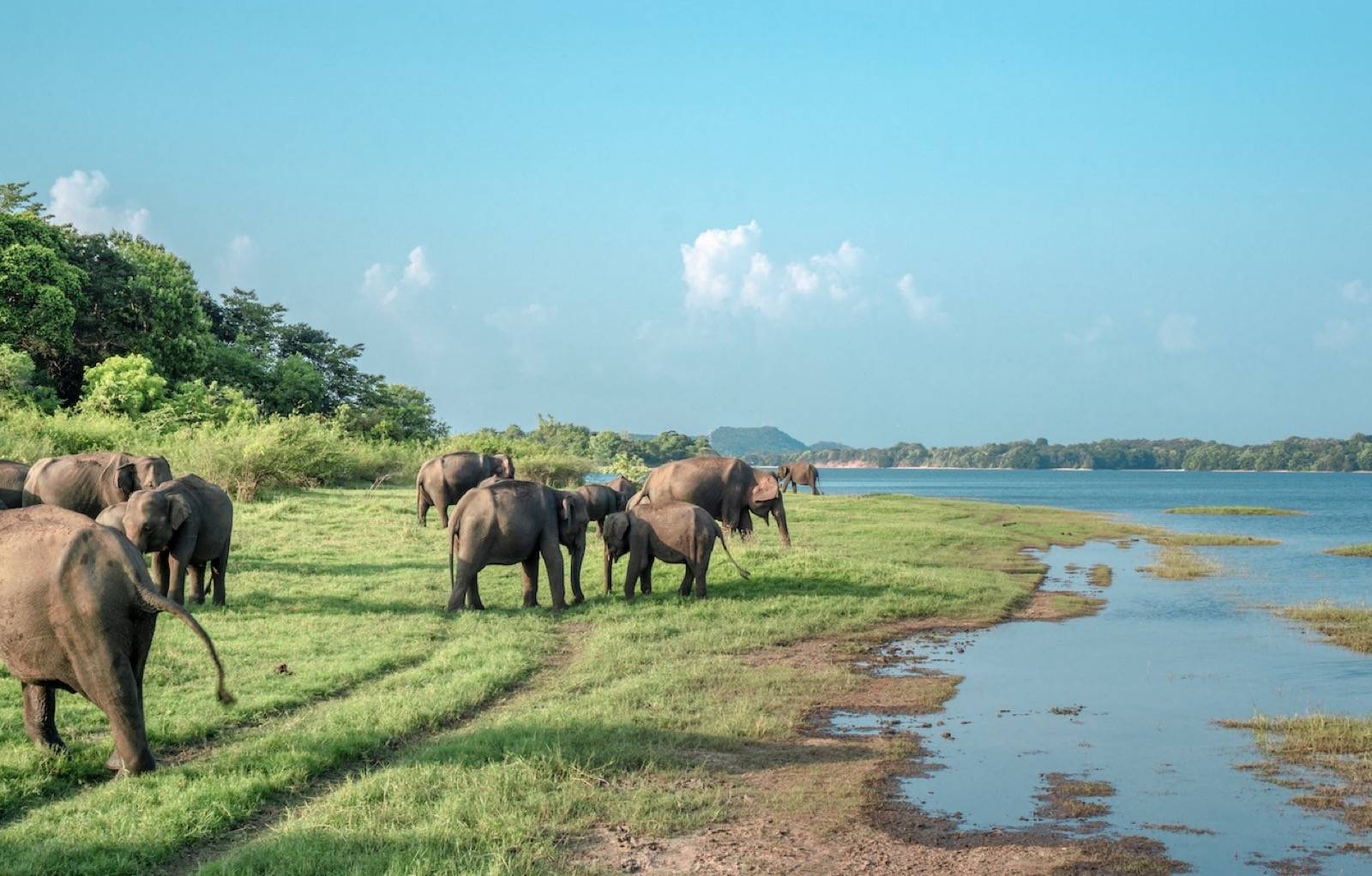 Traditional local craft workshop