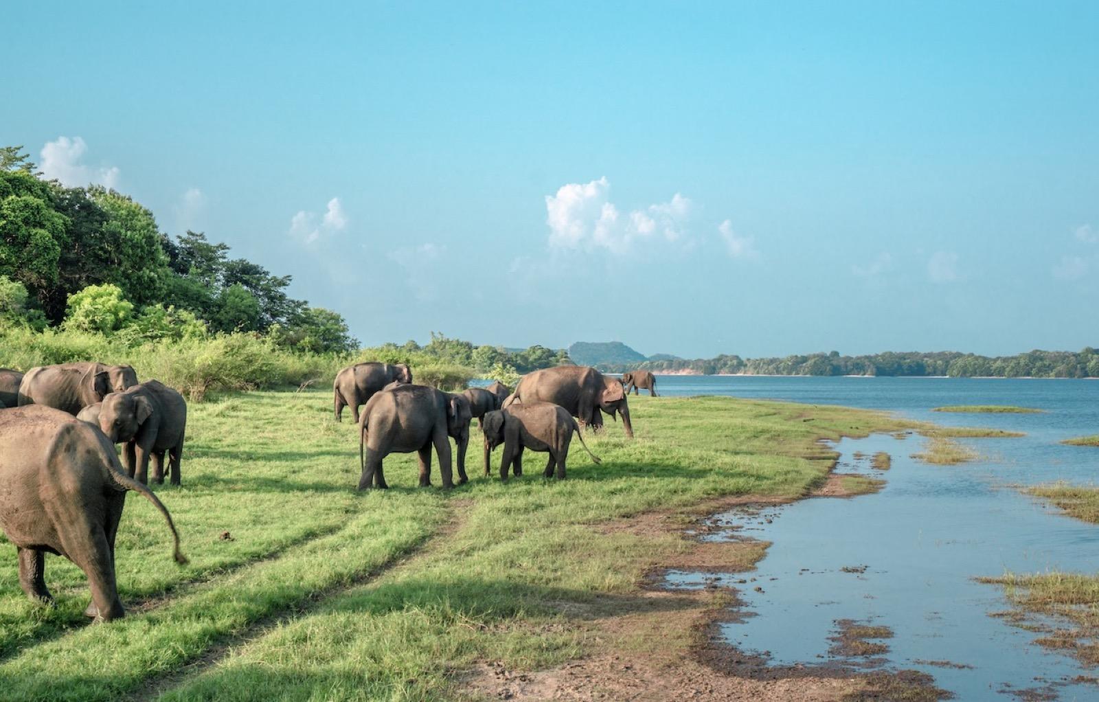 North Central Legacy Tour